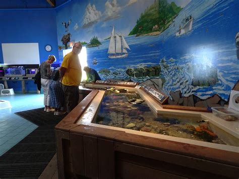 Maine state aquarium - Maine State Aquarium. 194 McKown Point Road, USA. Our Rating Neighborhood Across from Boothbay Harbor Hours Mid-May–Sept daily 10am–5pm; closed Oct–mid-May. Phone 207/633-9542 Prices Admission $7 adults, $3 children 5-12 and seniors, free for children 2 and under. About our rating system.